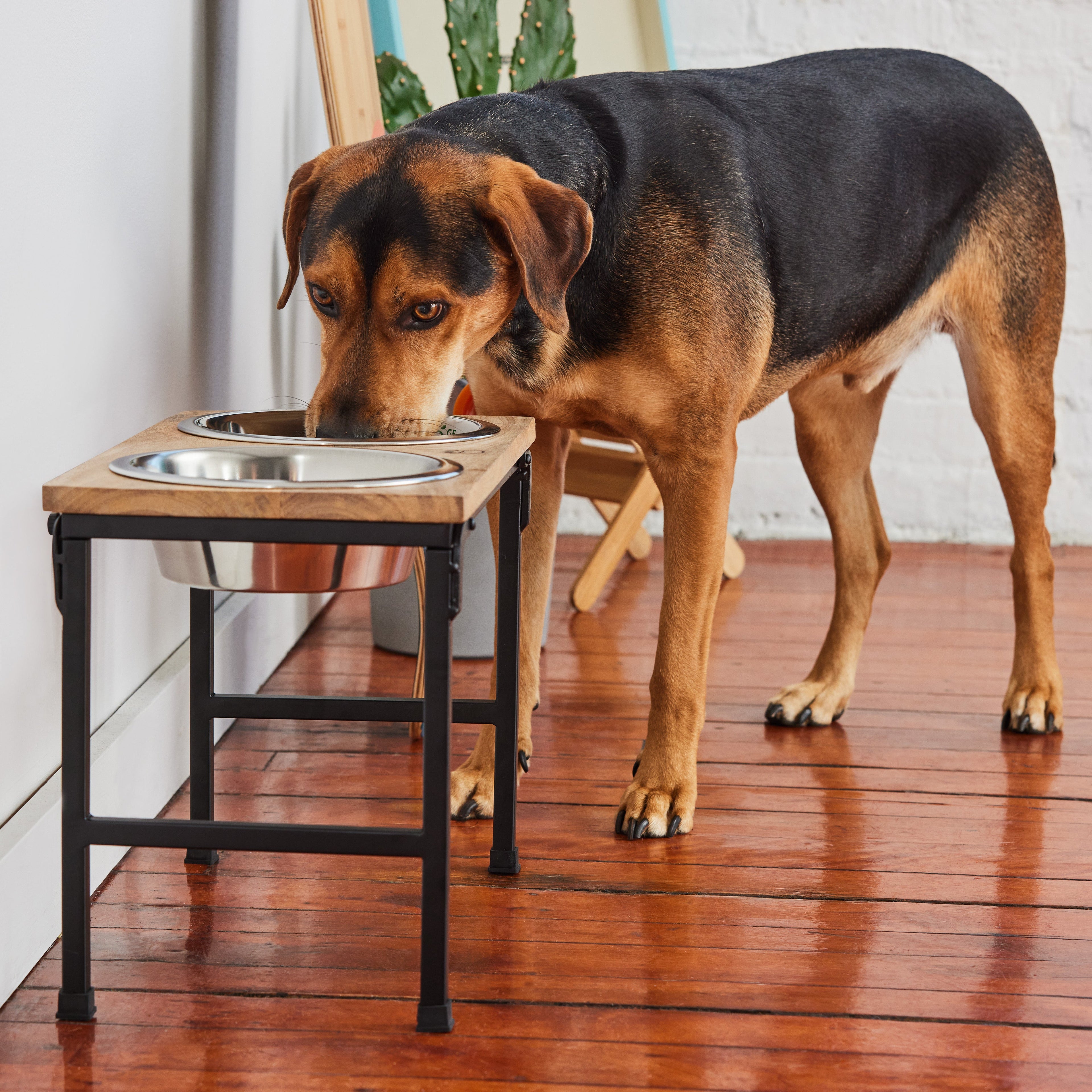 Wood & Metal Elevated Feeder by GF Pet.us