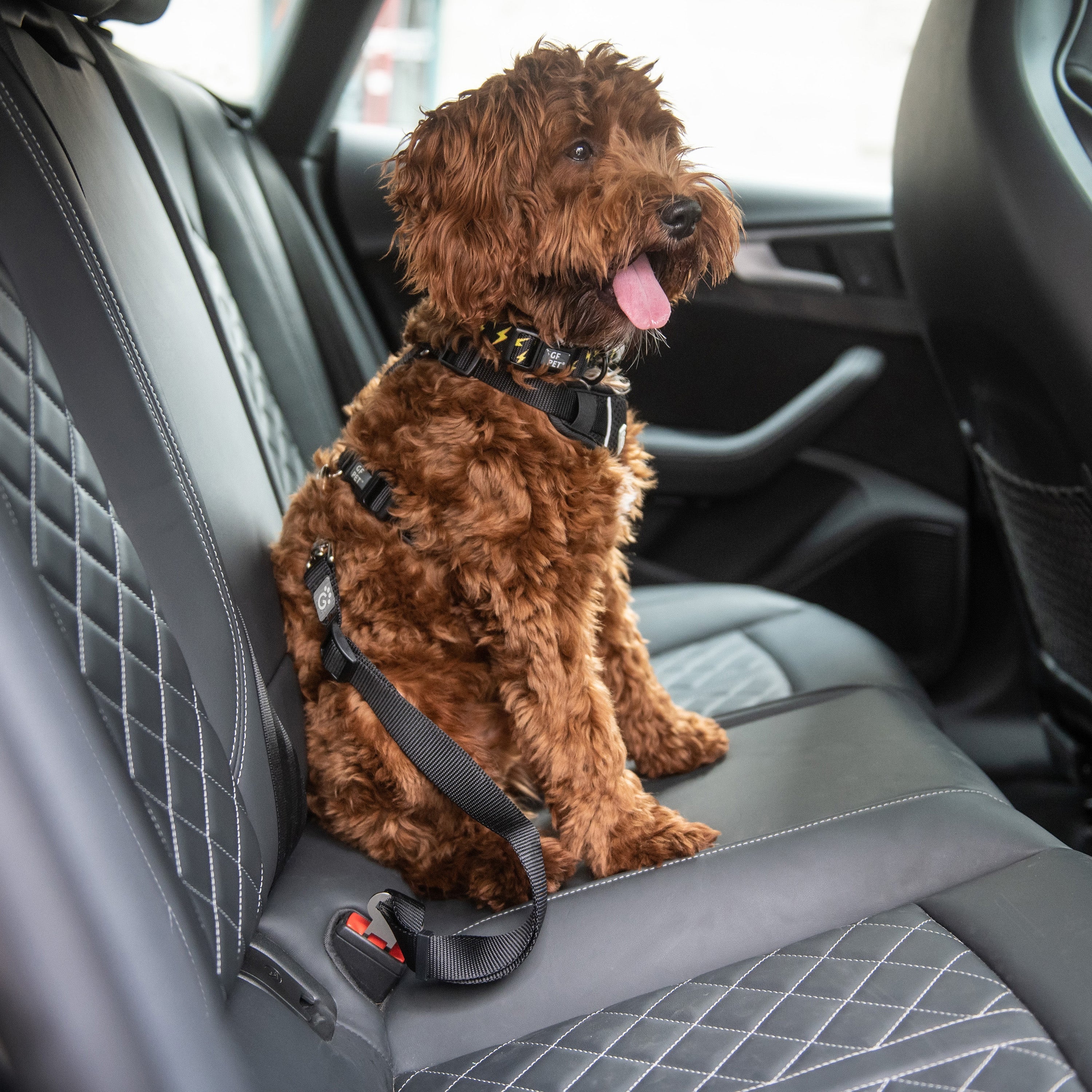 Pet Seat Belt Tether by GF Pet.us