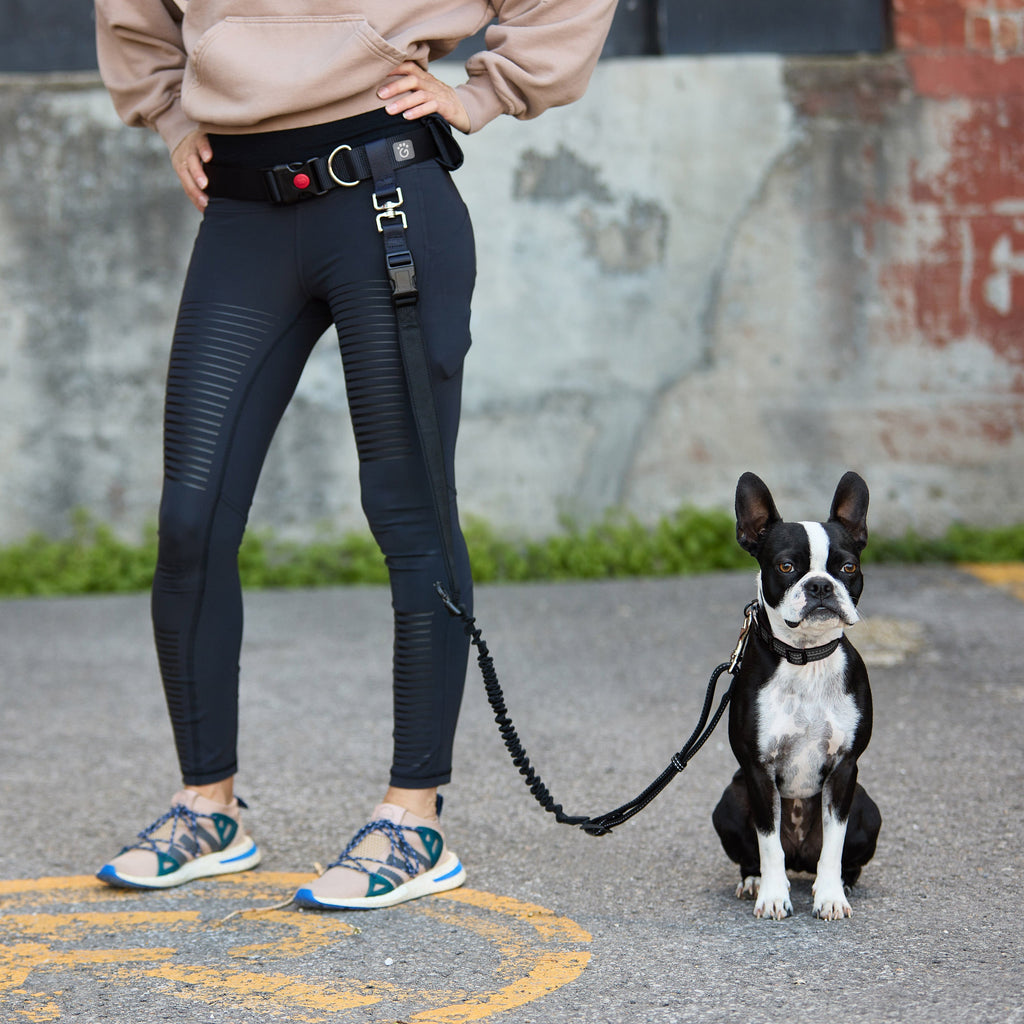 Waist Belt & Bungee Leash by GF Pet.us