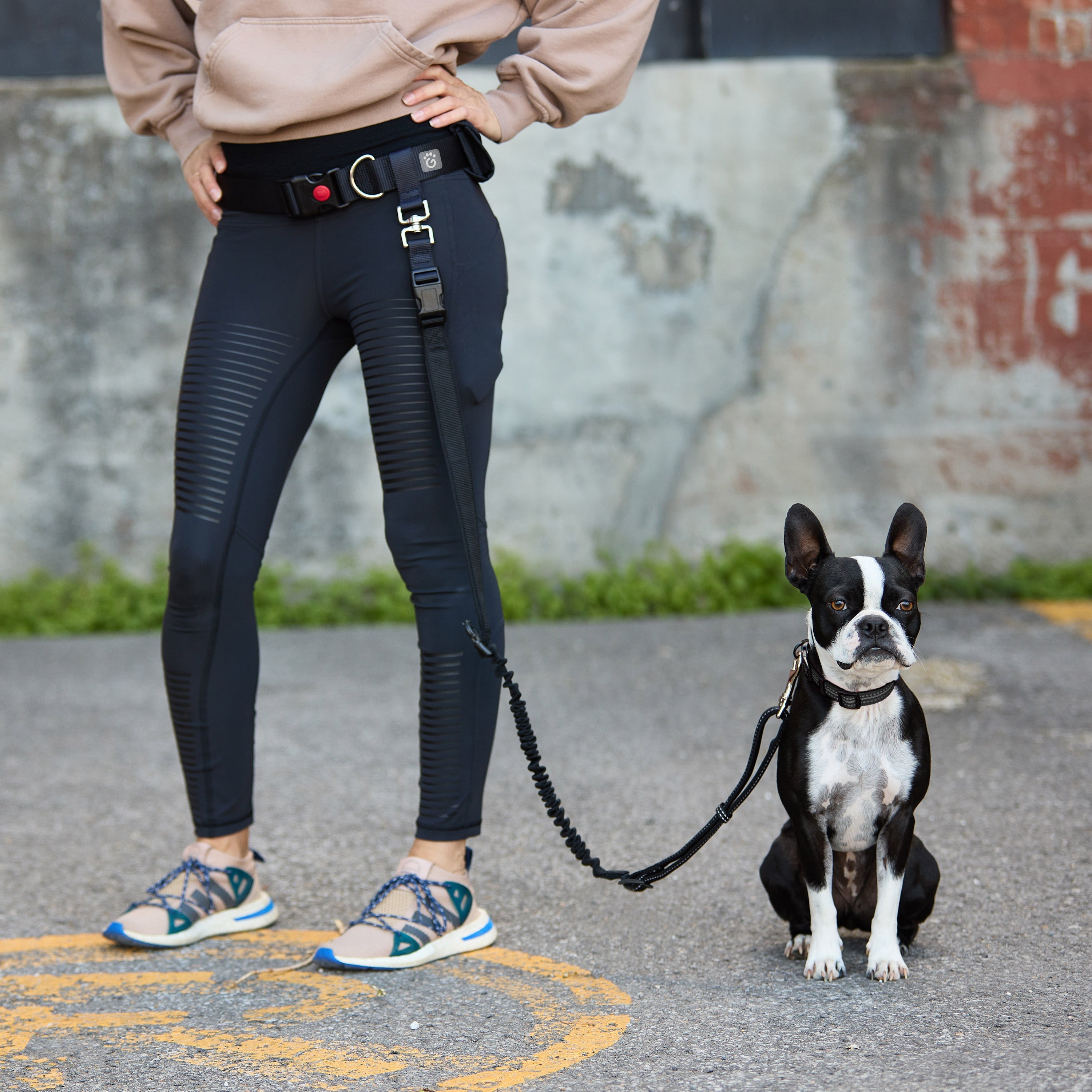 Waist Belt & Bungee Leash by GF Pet.us