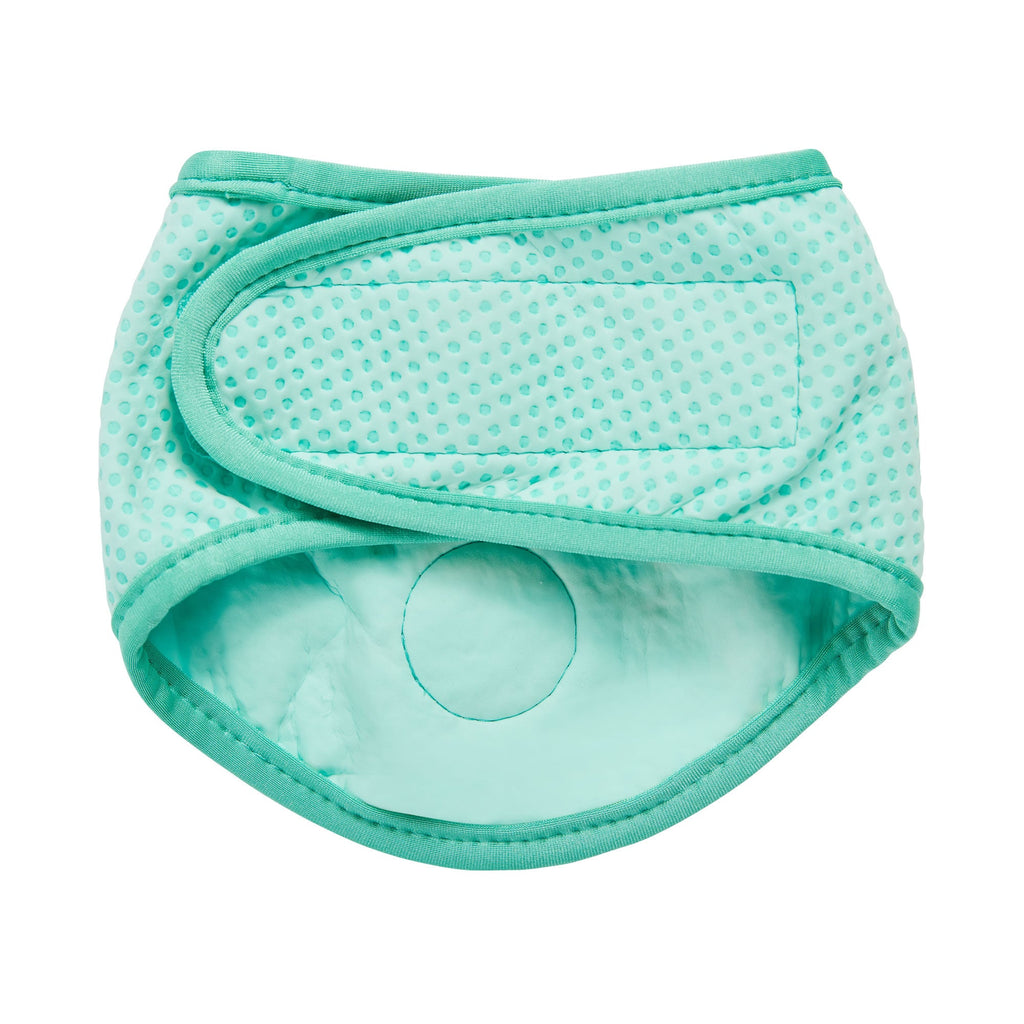 ICE BAND - Dog Cooling Bandana - Aqua by GF Pet.us