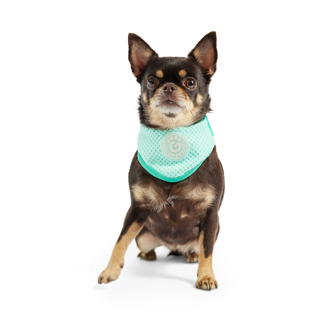 ICE BAND - Dog Cooling Bandana - Aqua by GF Pet.us