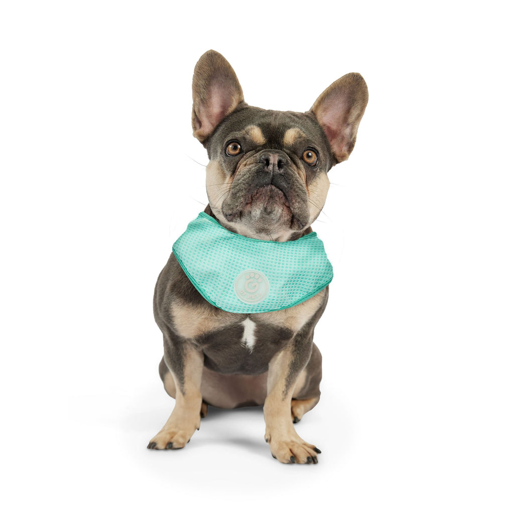 ICE BAND - Dog Cooling Bandana - Aqua by GF Pet.us