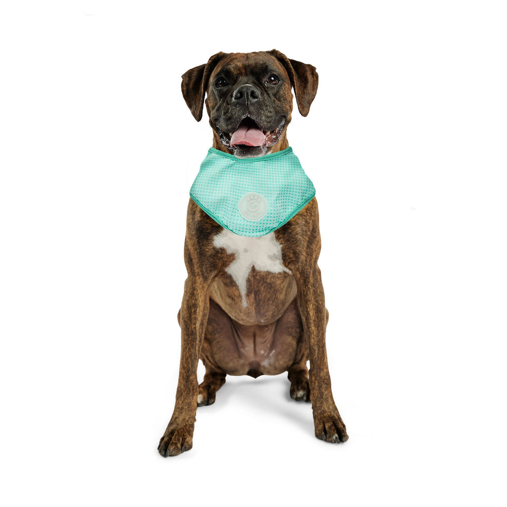 ICE BAND - Dog Cooling Bandana - Aqua by GF Pet.us