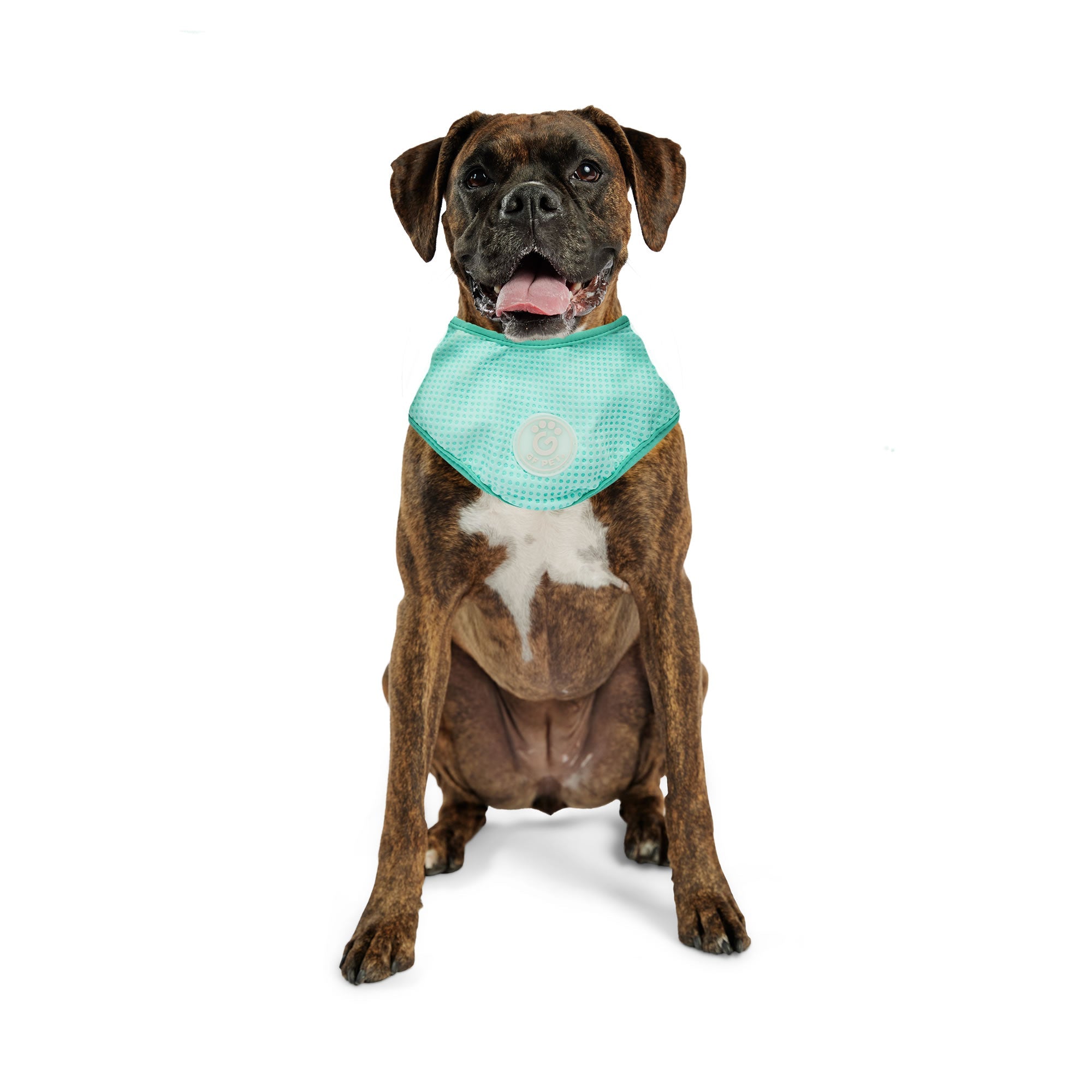 ICE BAND - Dog Cooling Bandana - Aqua by GF Pet.us