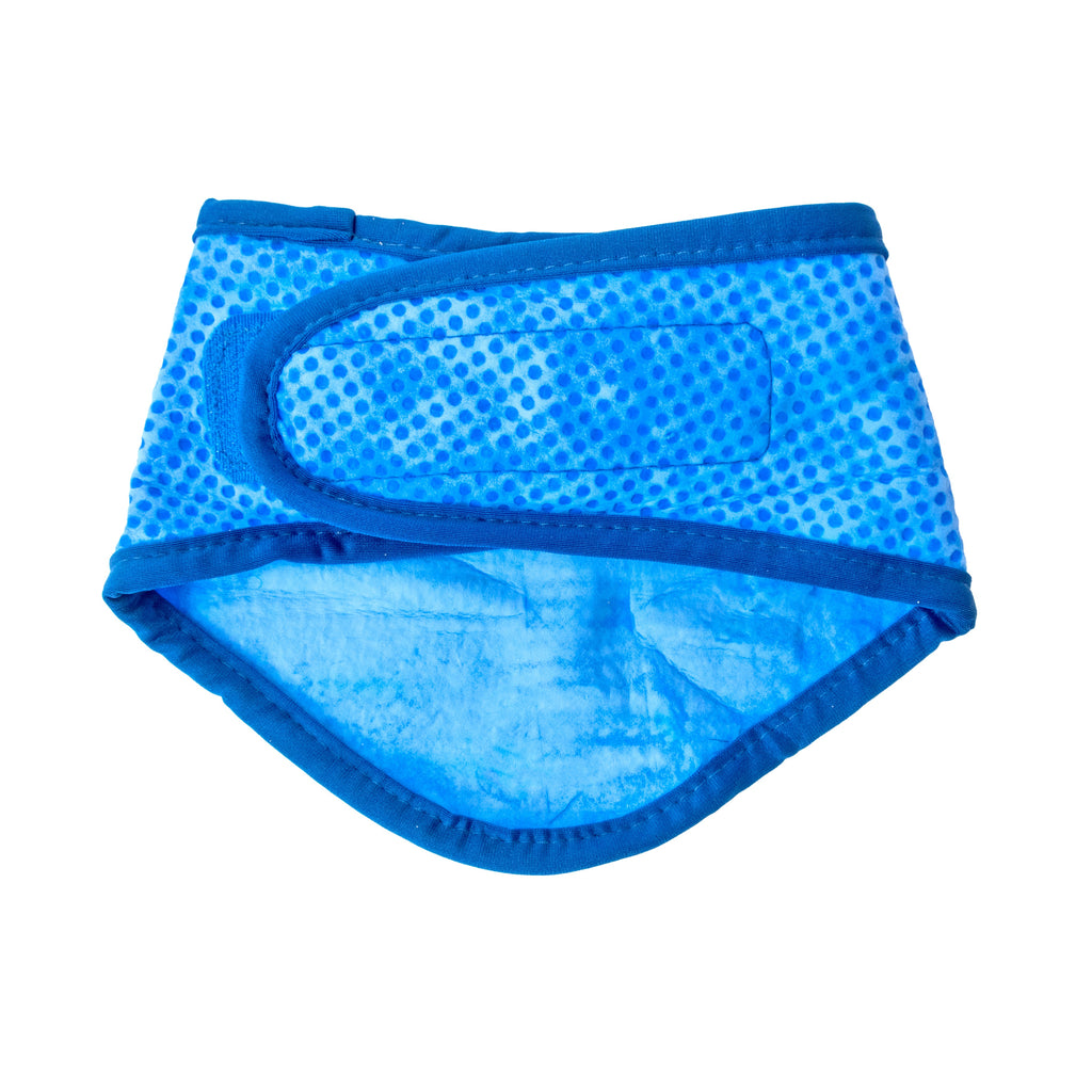 ICE BAND - Dog Cooling Bandana - Blue by GF Pet.us