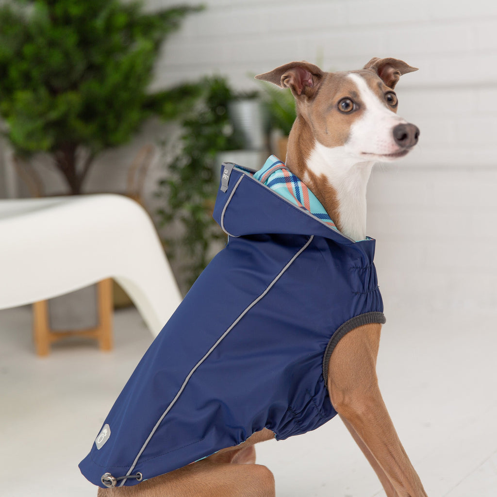 Reversible Elasto-Fit Raincoat - Navy by GF Pet.us