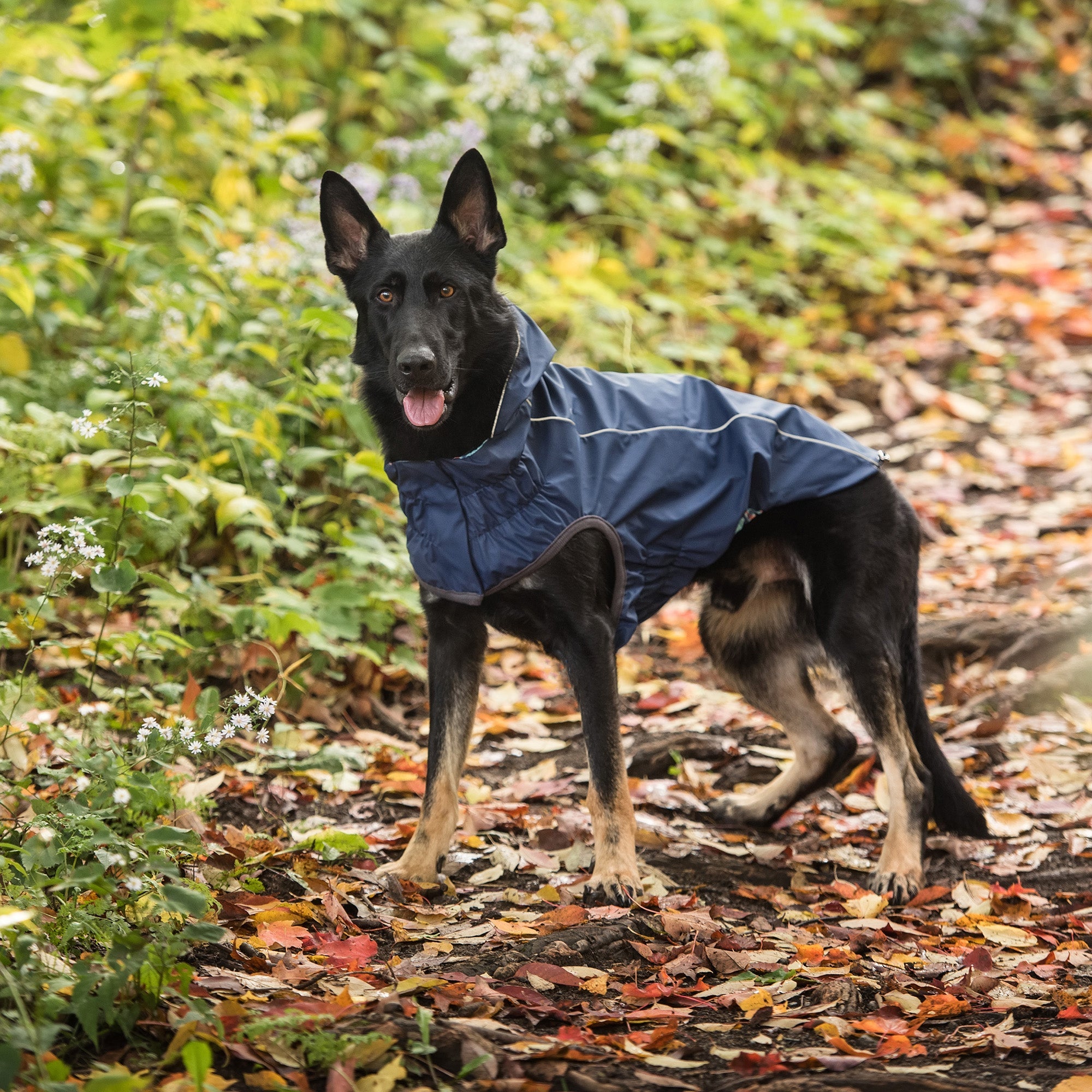 Reversible Elasto-Fit Raincoat - Navy by GF Pet.us