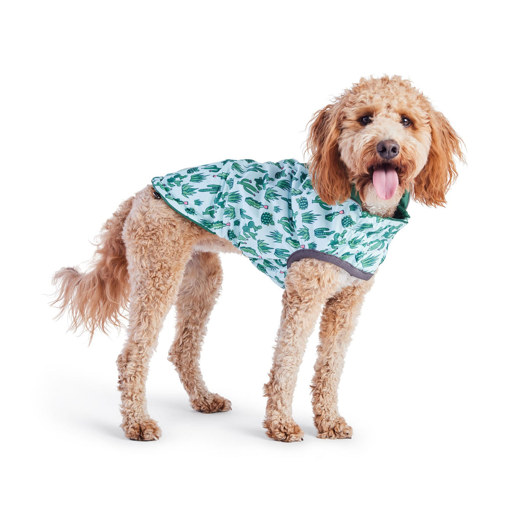 Reversible Elasto-Fit Raincoat - Green/Green by GF Pet.us