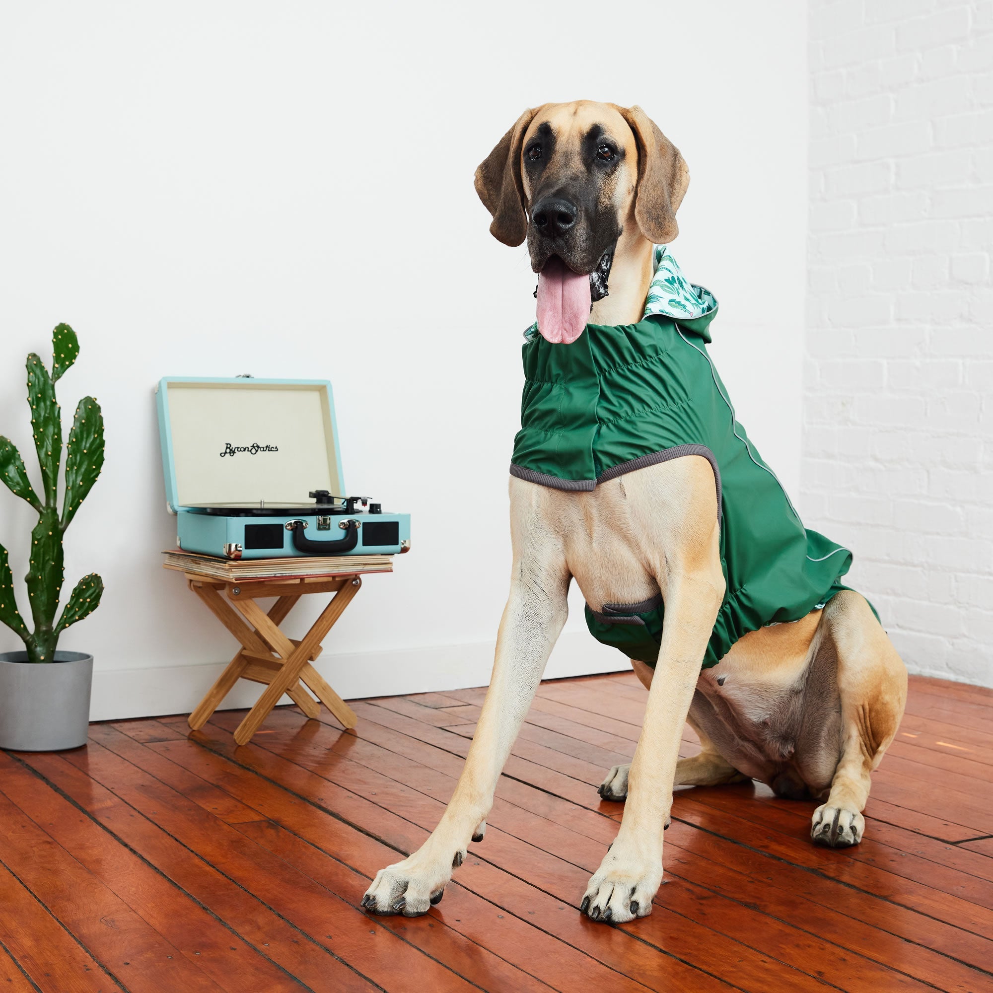 Reversible Elasto-Fit Raincoat - Green/Green by GF Pet.us