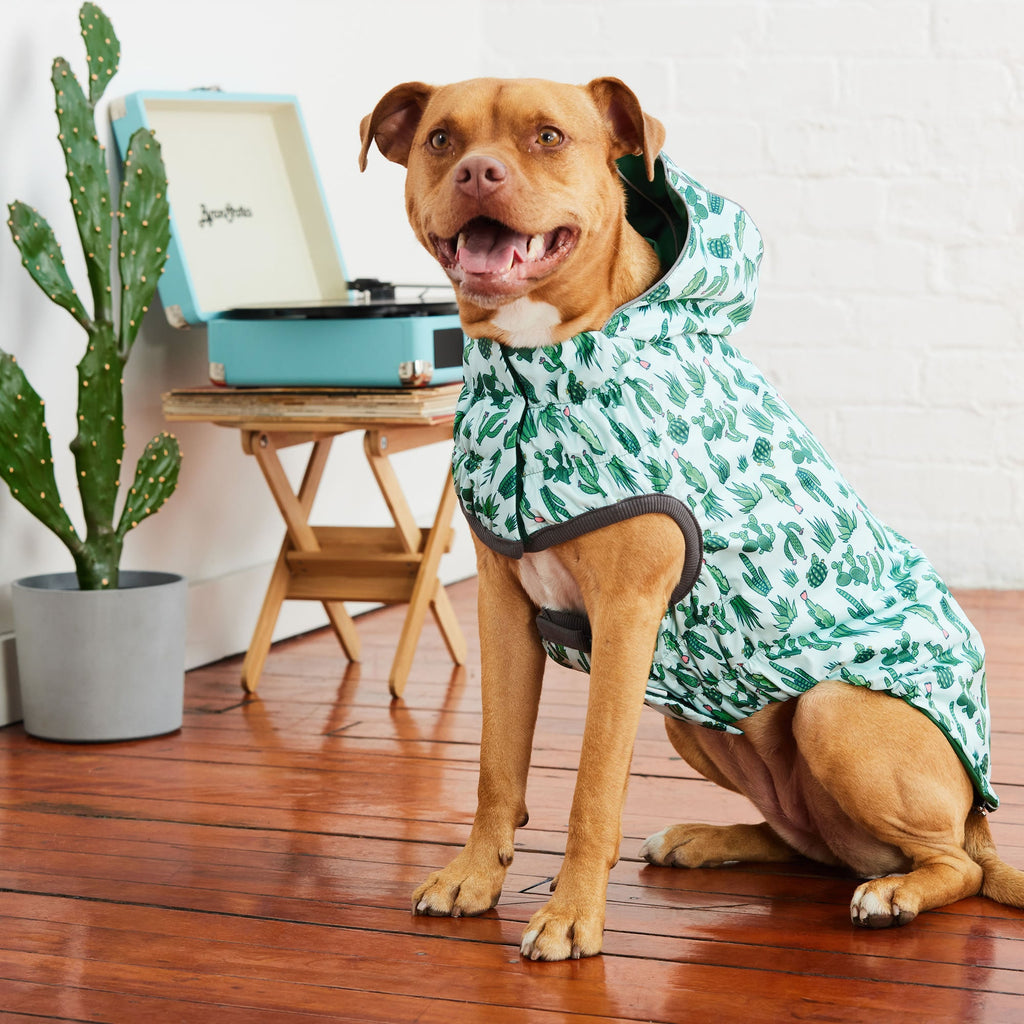 Reversible Elasto-Fit Raincoat - Green/Green by GF Pet.us