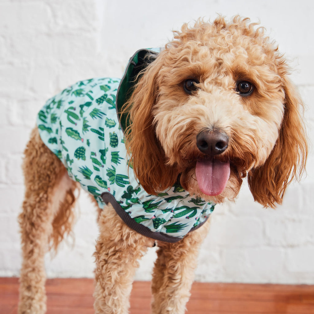 Reversible Elasto-Fit Raincoat - Green/Green by GF Pet.us