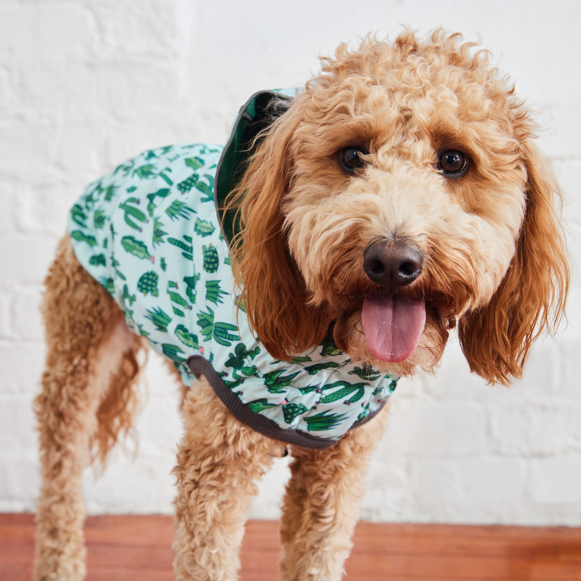 Reversible Elasto-Fit Raincoat - Green/Green by GF Pet.us