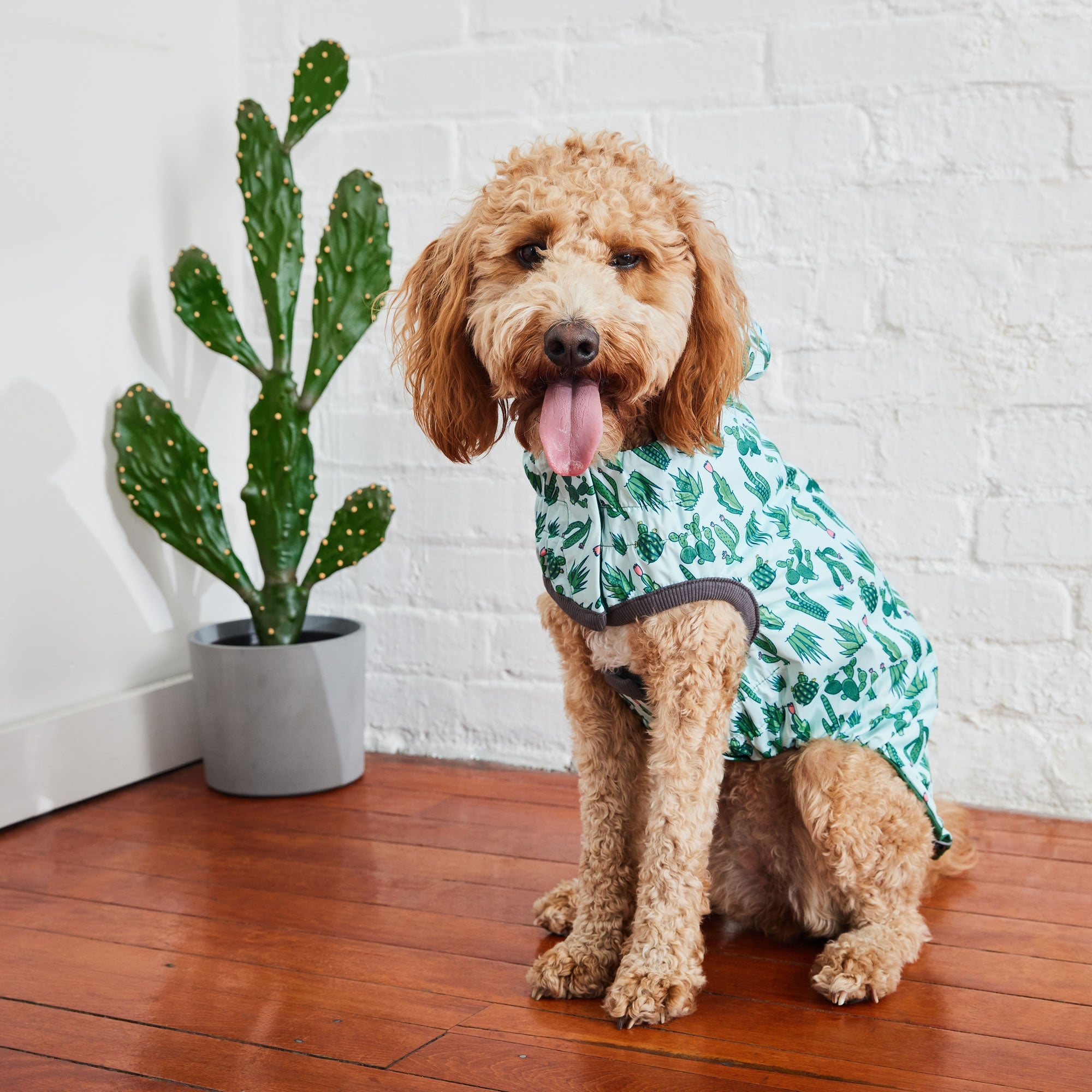 Reversible Elasto-Fit Raincoat - Green/Green by GF Pet.us