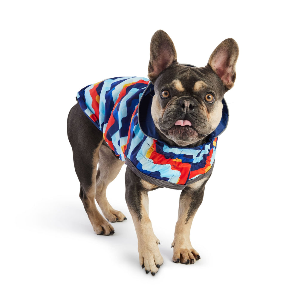 Reversible Elasto-Fit Raincoat - Navy/Navy by GF Pet.us