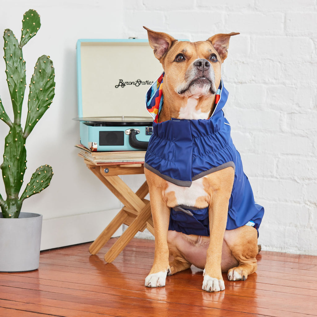 Reversible Elasto-Fit Raincoat - Navy/Navy by GF Pet.us