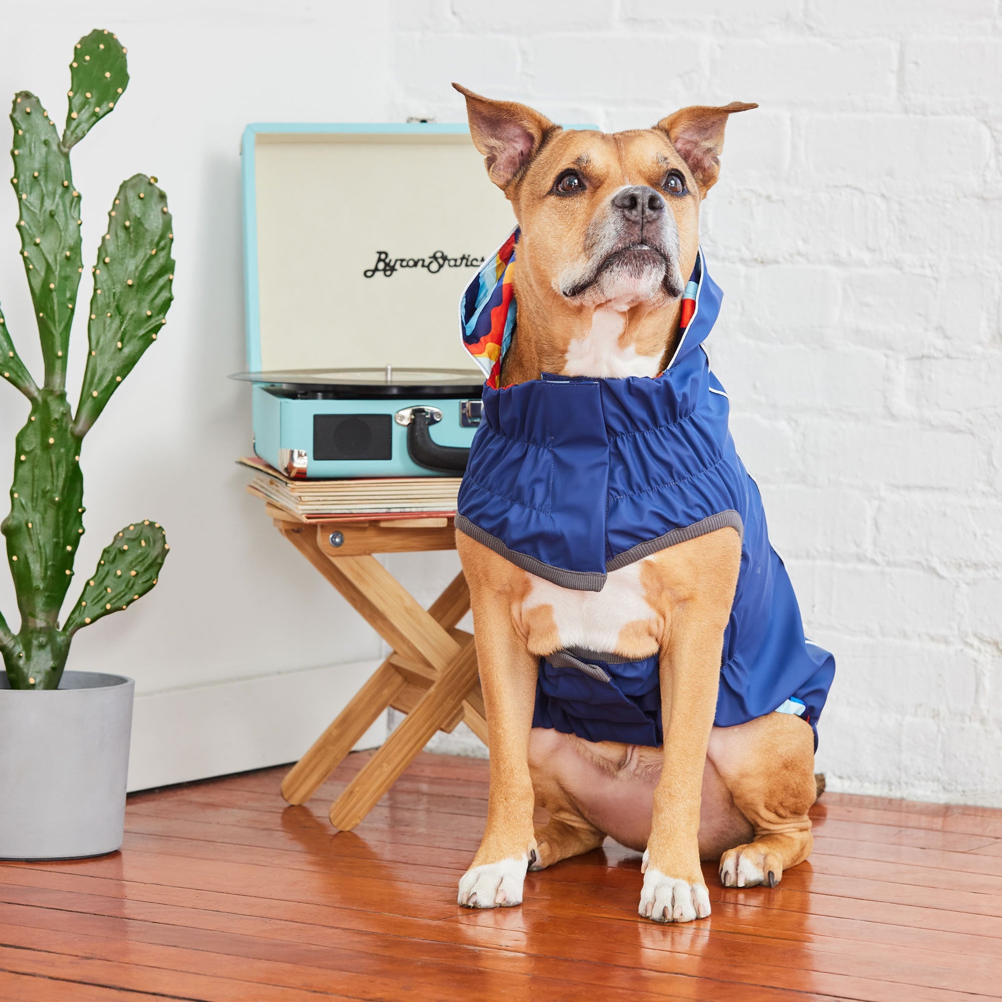 Reversible Elasto-Fit Raincoat - Navy/Navy by GF Pet.us