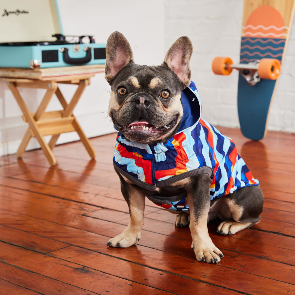 Reversible Elasto-Fit Raincoat - Navy/Navy by GF Pet.us
