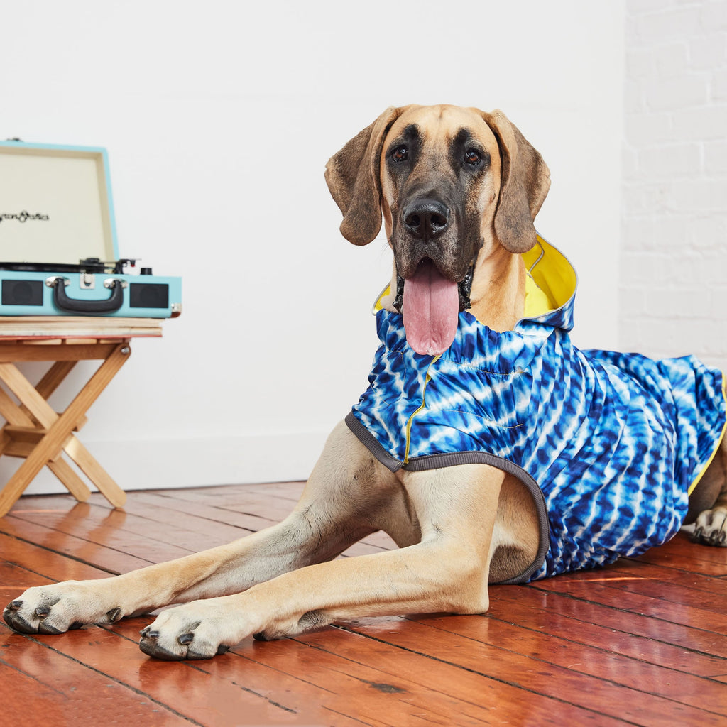Reversible Elasto-Fit Raincoat - Yellow/Blue by GF Pet.us