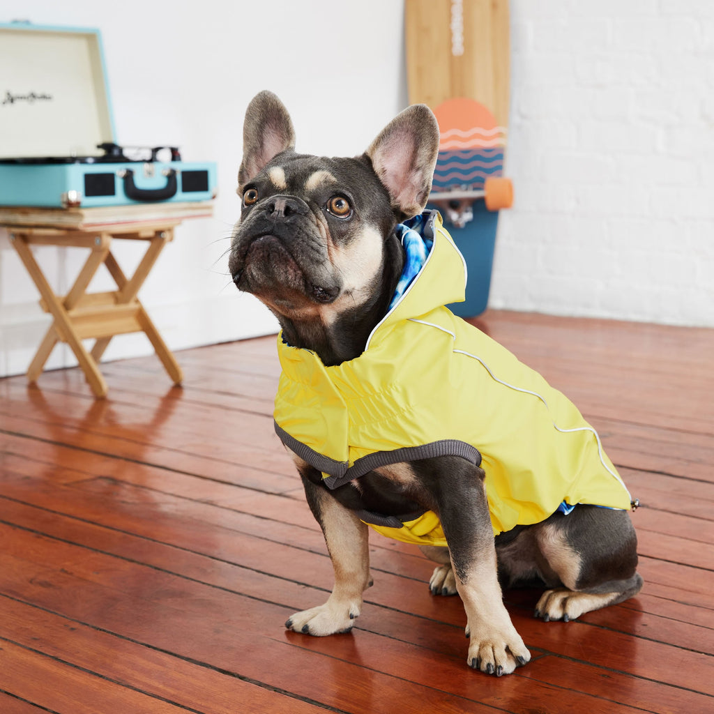 Reversible Elasto-Fit Raincoat - Yellow/Blue by GF Pet.us