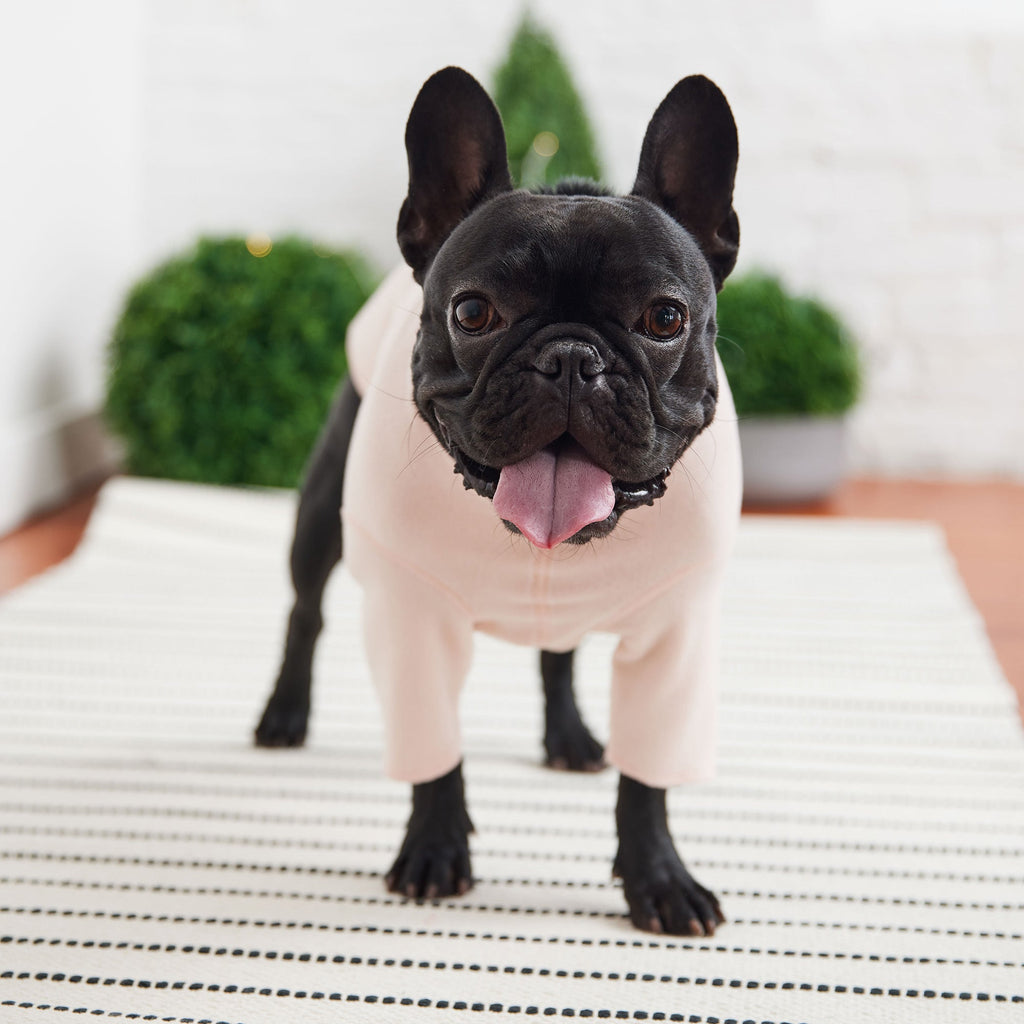 Gondola Base Layer - Pink by GF Pet.us