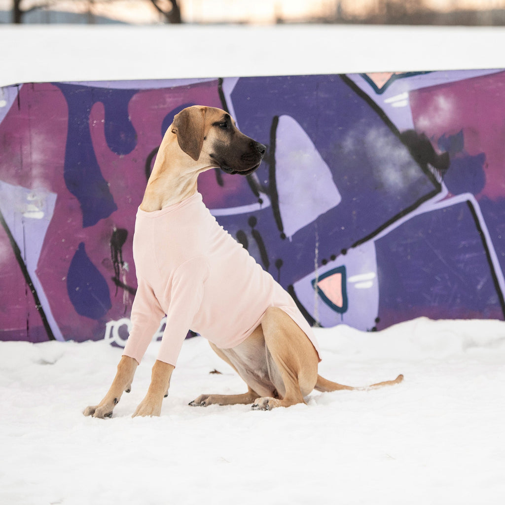 Gondola Base Layer - Pink by GF Pet.us
