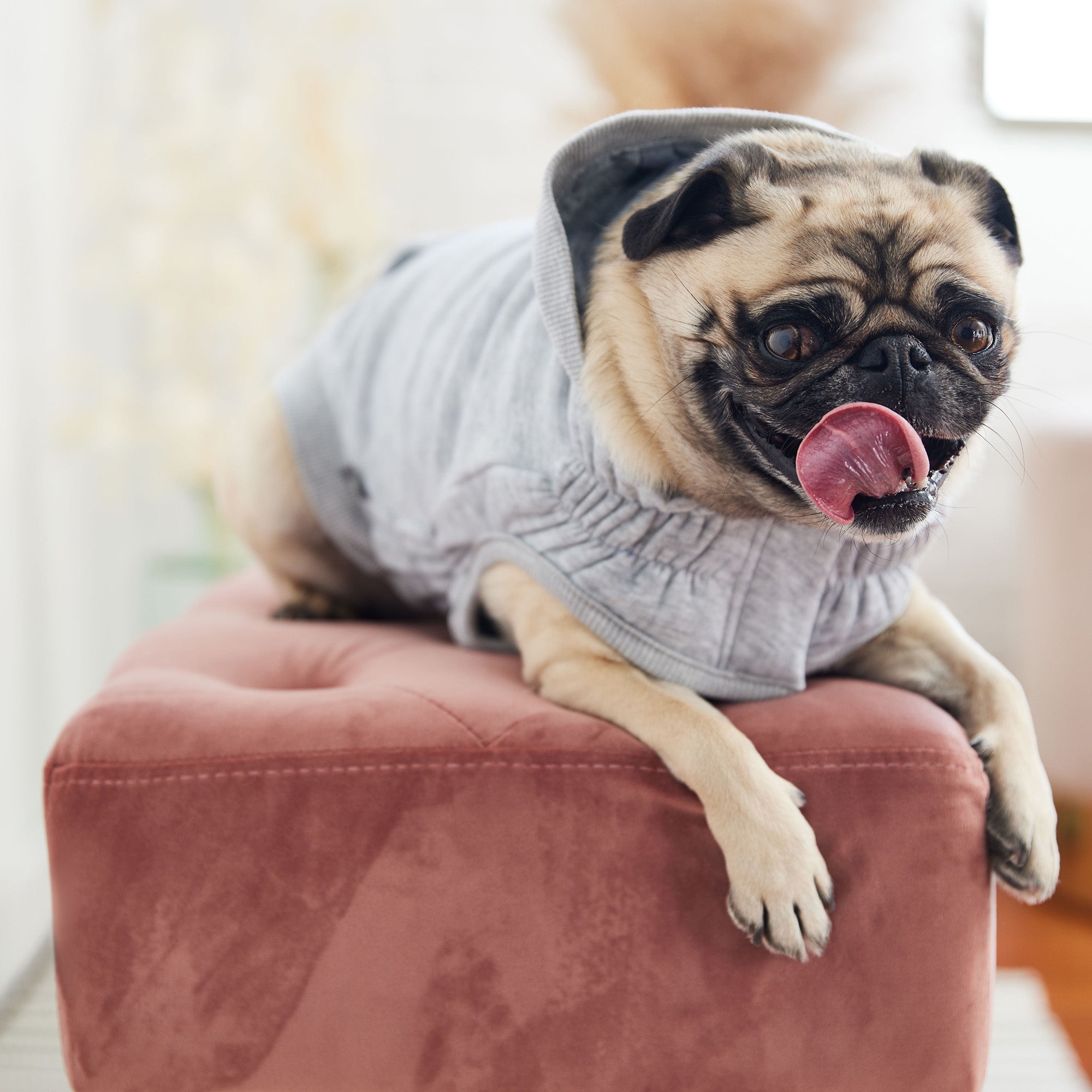 Urban Hoodie - Heather Grey by GF Pet.us
