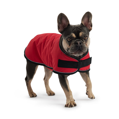 Blanket Jacket - Red by GF Pet.us