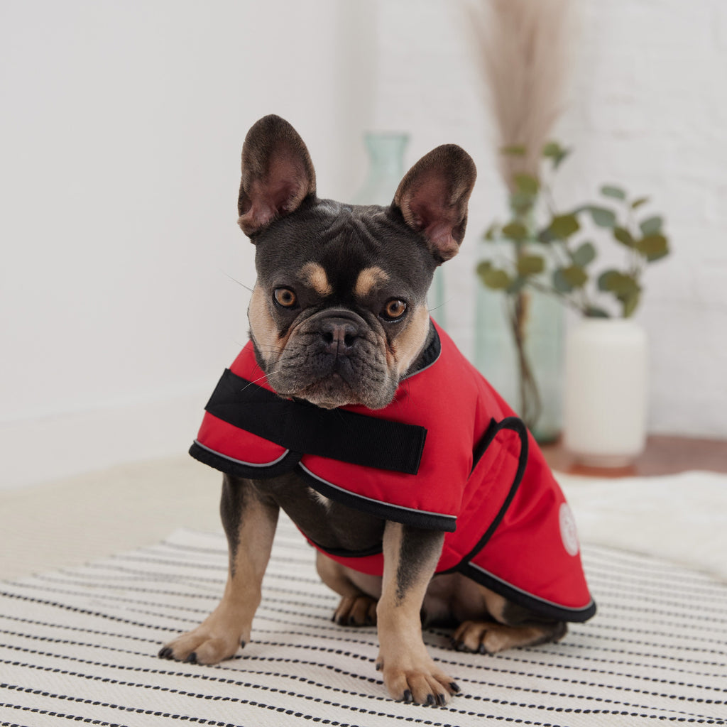 Blanket Jacket - Red by GF Pet.us