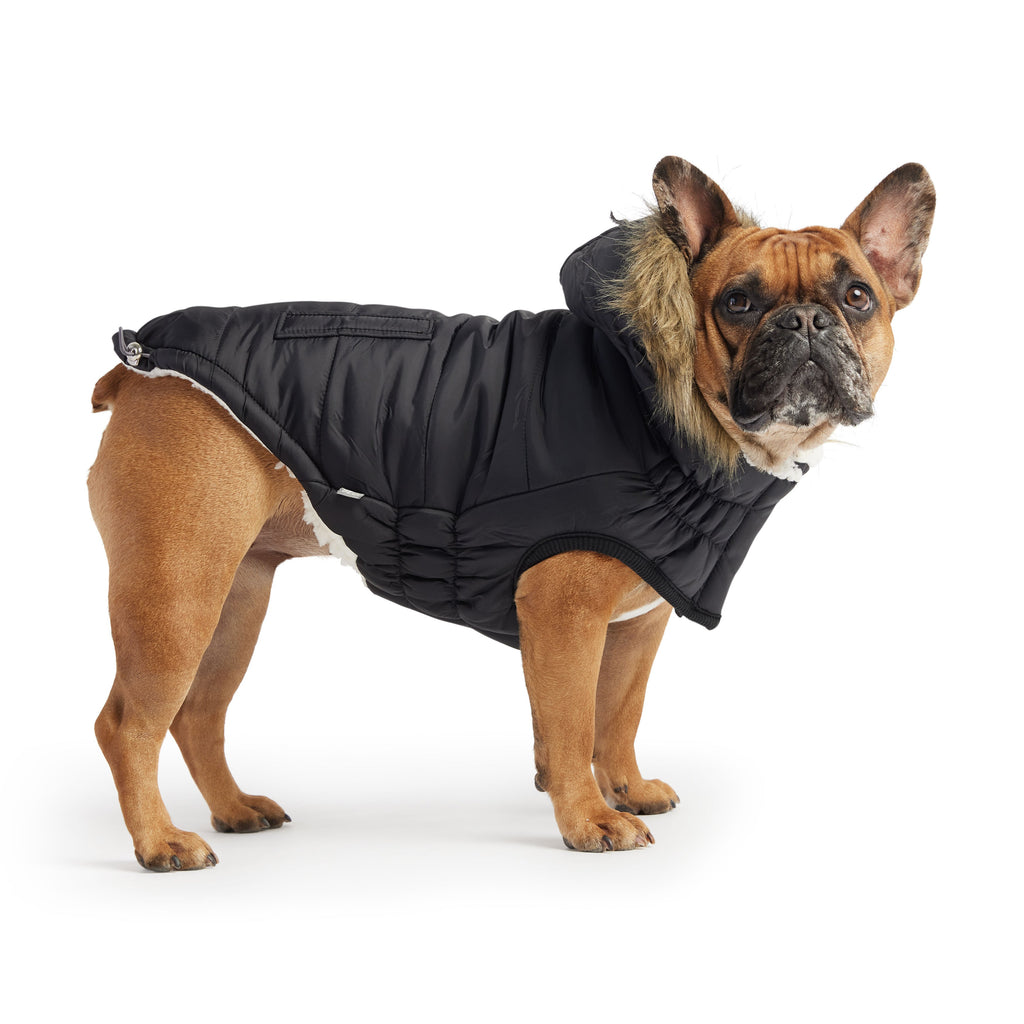 Urban Parka - Black by GF Pet.us