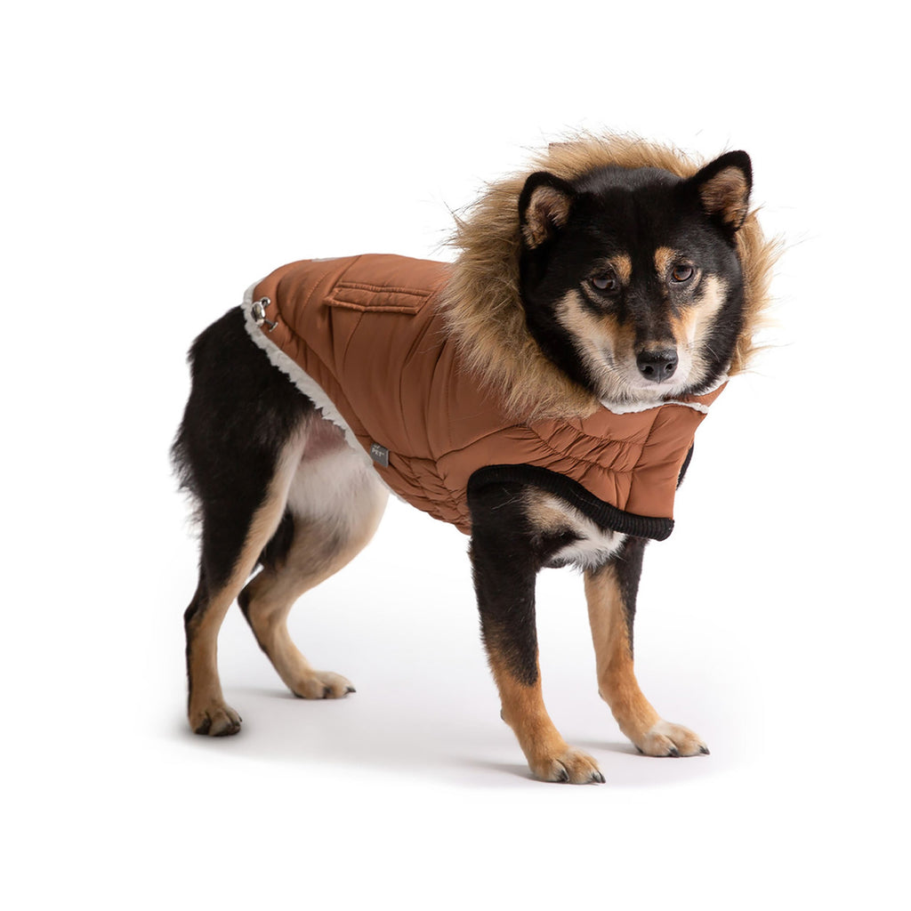 Urban Parka - Caramel by GF Pet.us
