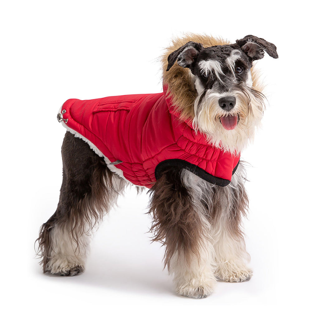 Urban Parka - Red by GF Pet.us