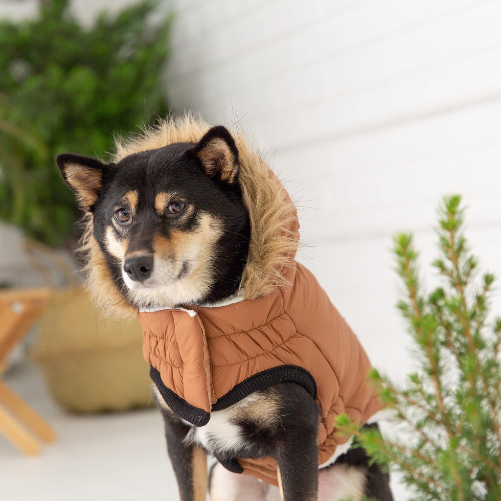 Urban Parka - Caramel by GF Pet.us