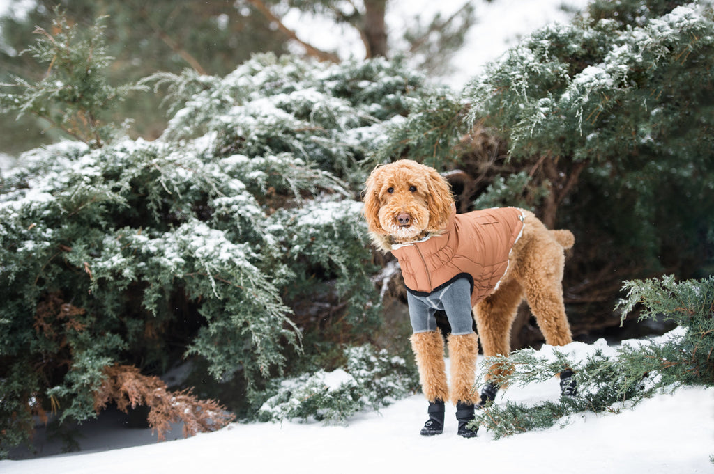 Urban Parka - Caramel by GF Pet.us