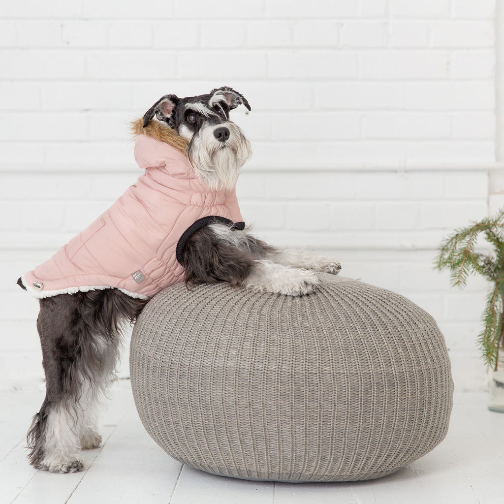 Urban Parka - Pink by GF Pet.us