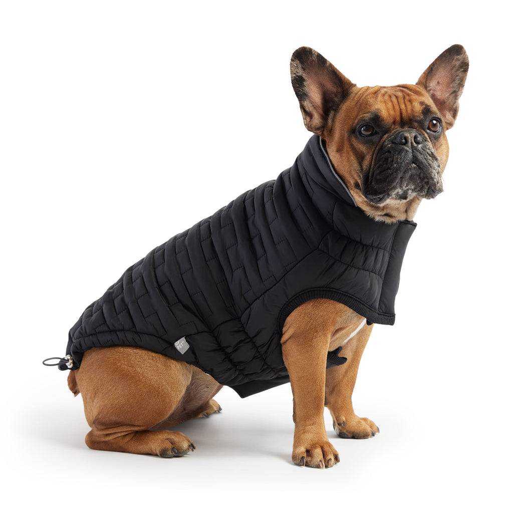 Reversible Chalet Jacket - Black by GF Pet.us