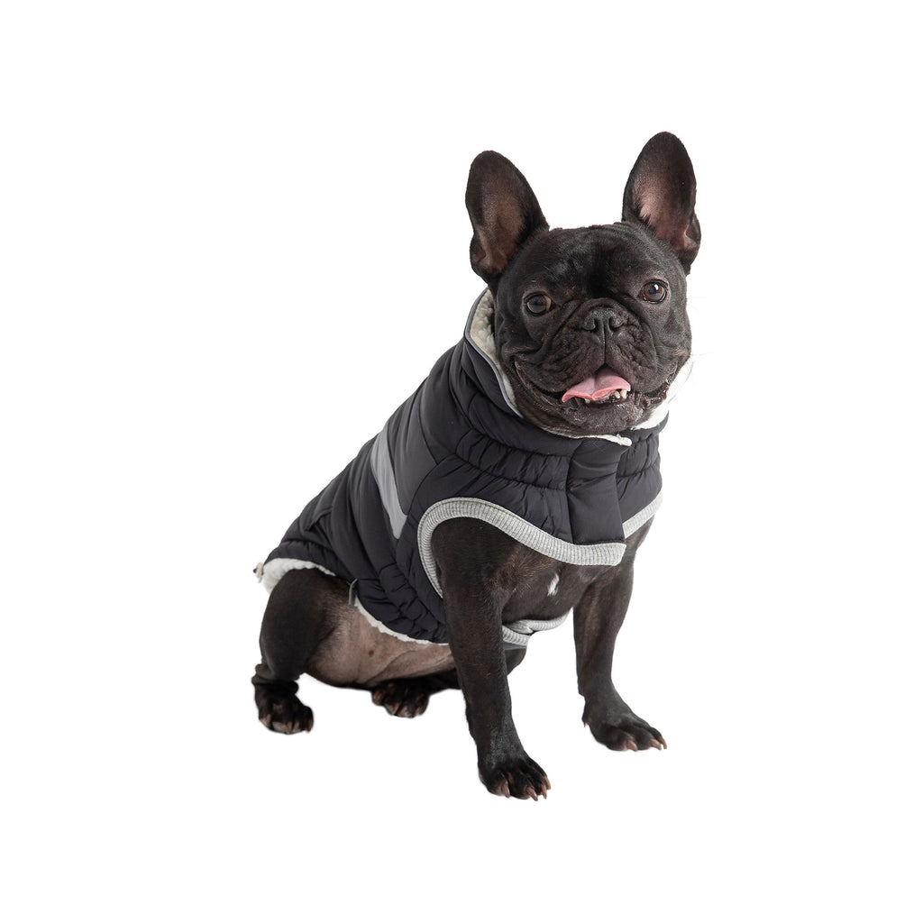 Alpine Puffer - Black by GF Pet.us