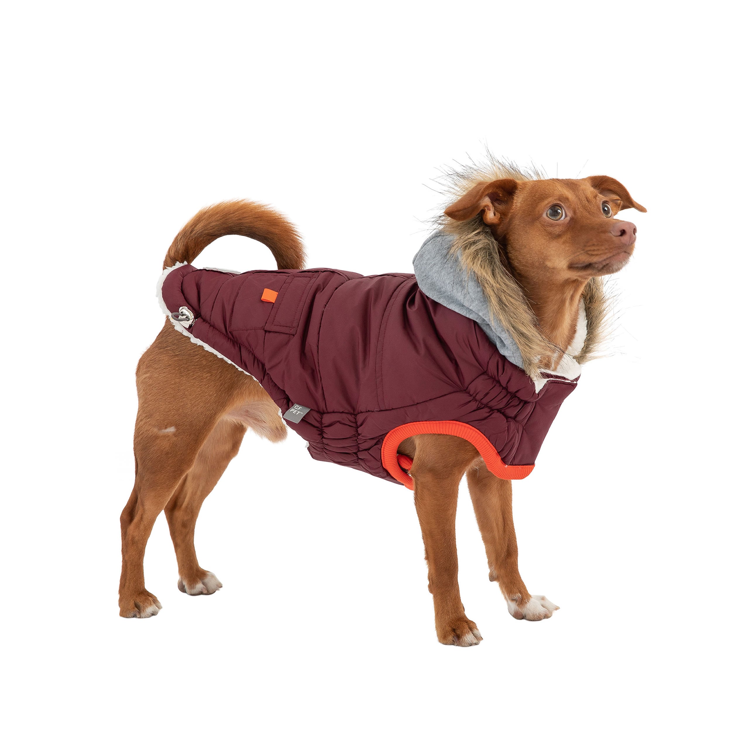 Winter Sailor Parka - Burgundy by GF Pet.us