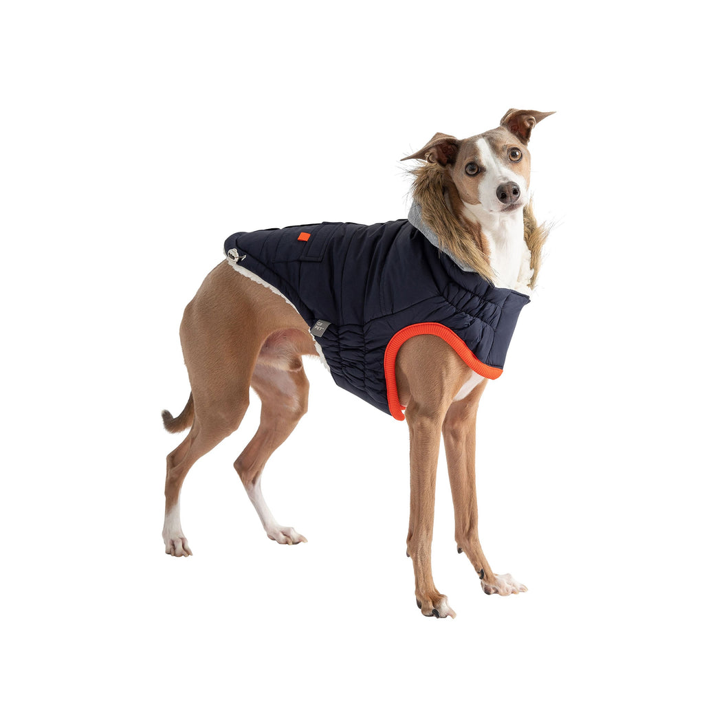 Winter Sailor Parka - Navy by GF Pet.us