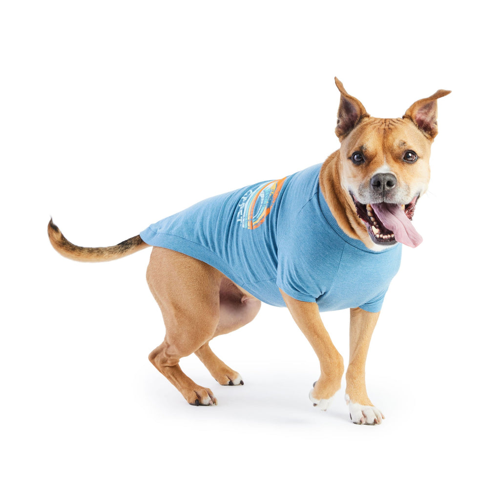 Graphic Tee - Blue by GF Pet.us