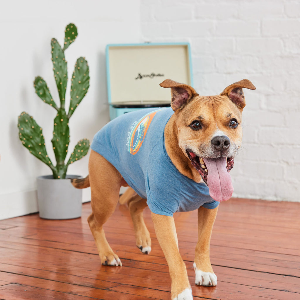 Graphic Tee - Blue by GF Pet.us