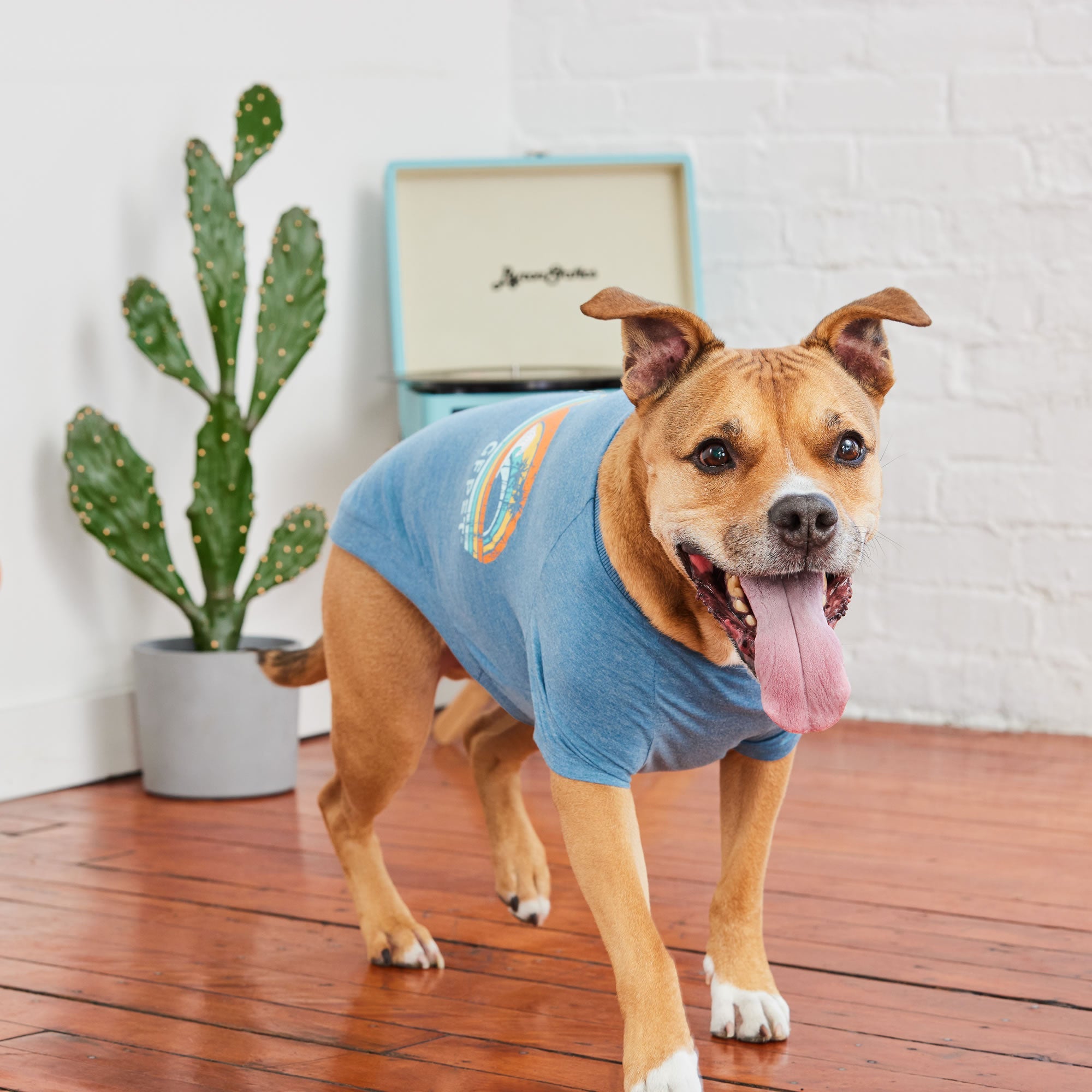 Graphic Tee - Blue by GF Pet.us
