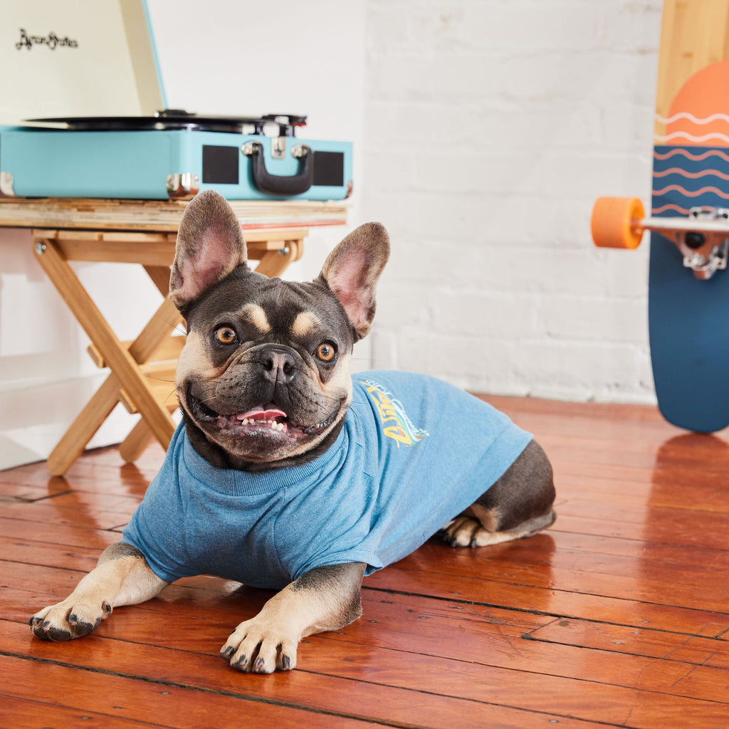 Graphic Tee - Blue by GF Pet.us