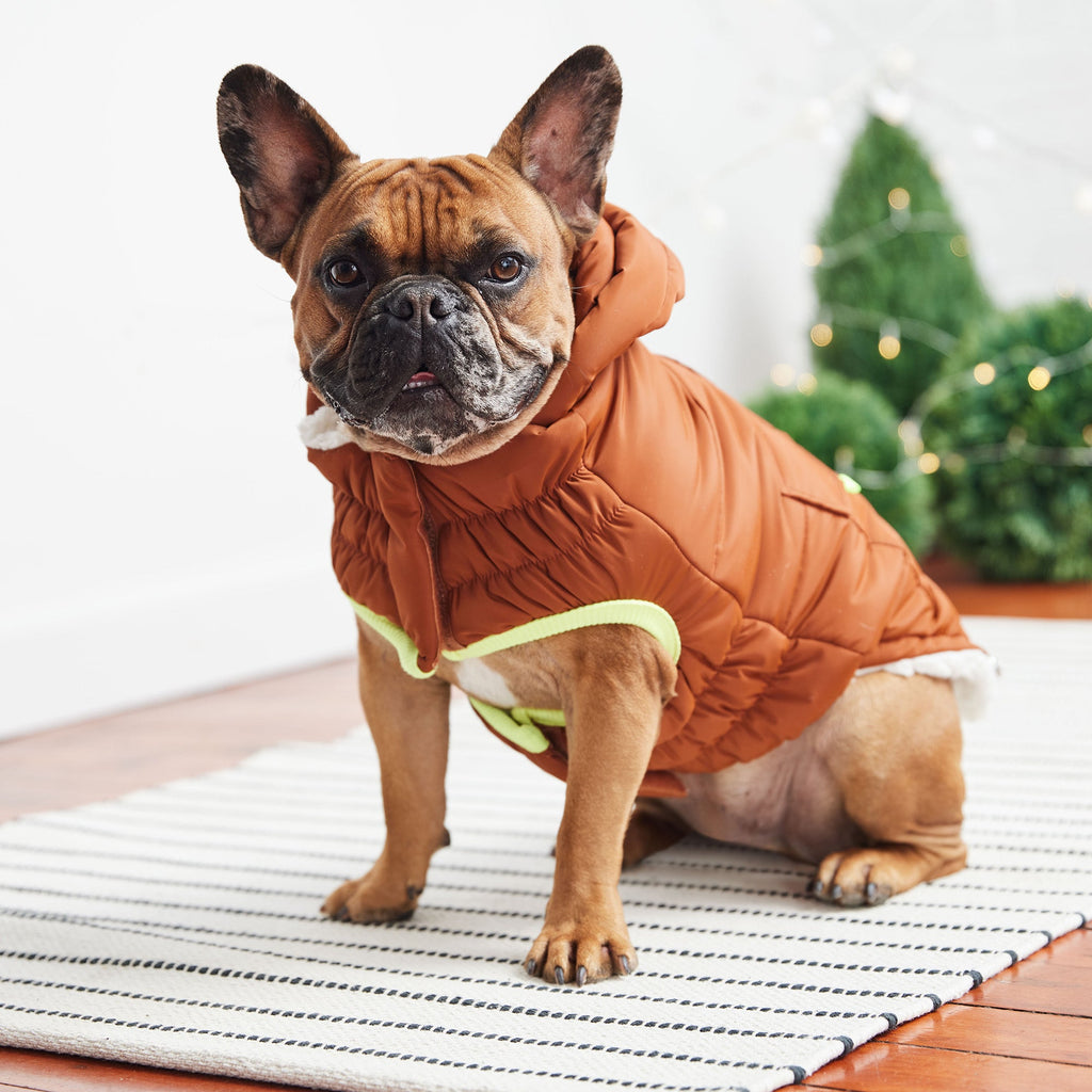 The Puff Parka - Hazel by GF Pet.us