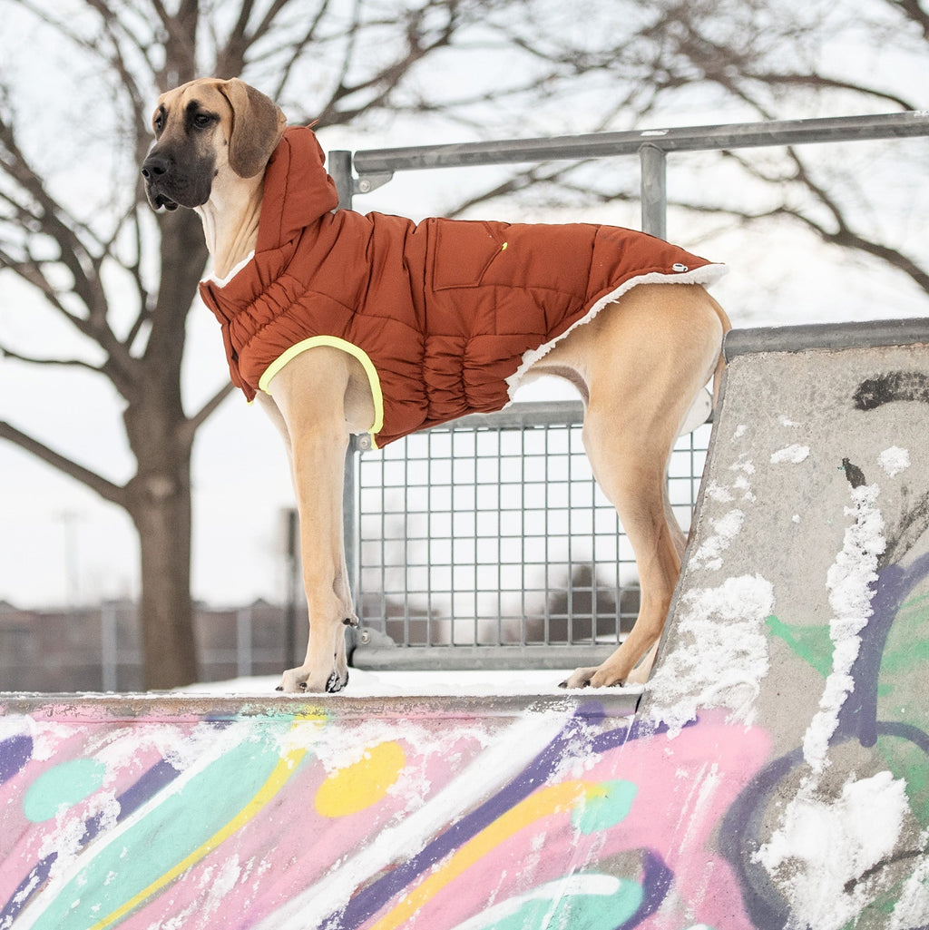 The Puff Parka - Hazel by GF Pet.us