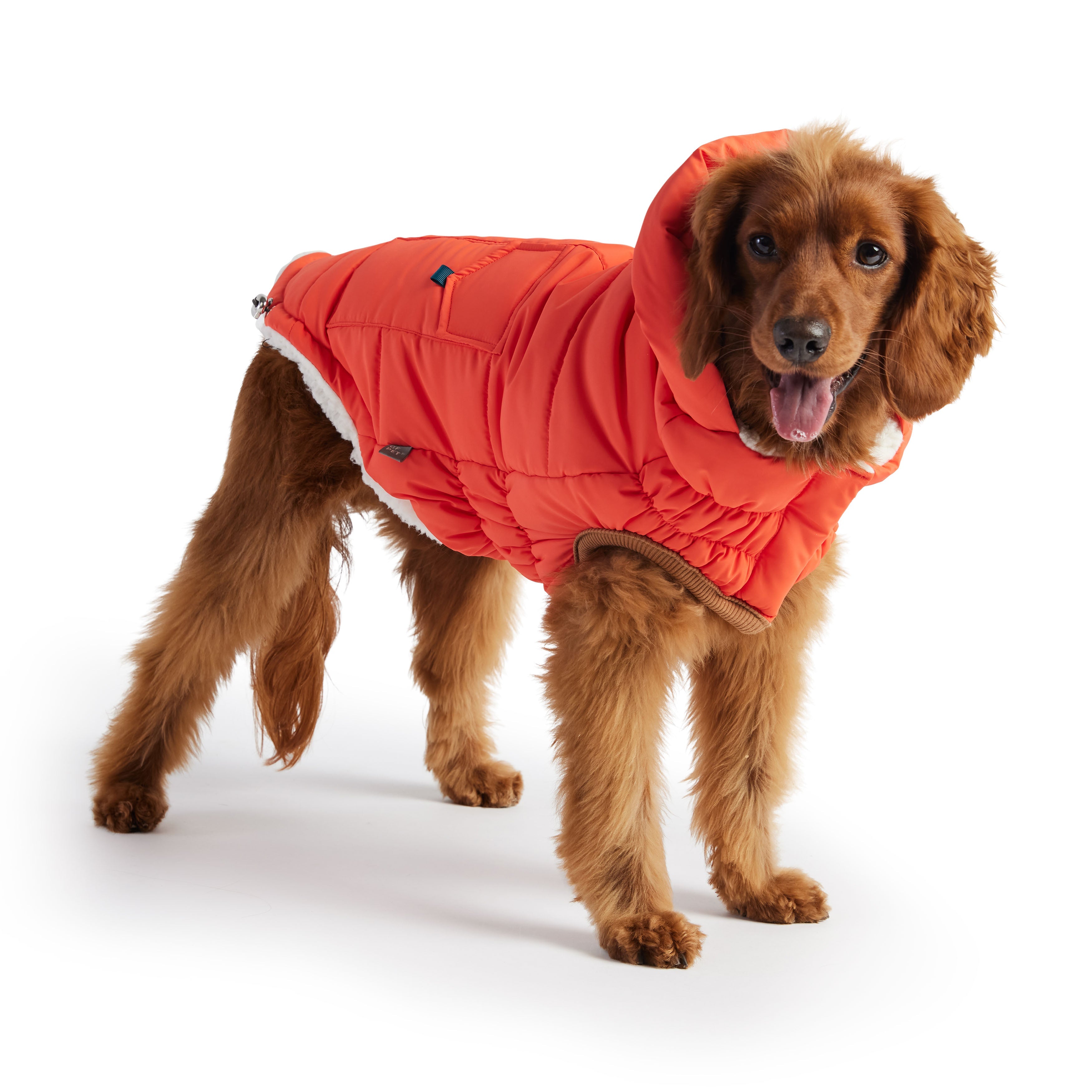 The Puff Parka - Orange by GF Pet.us