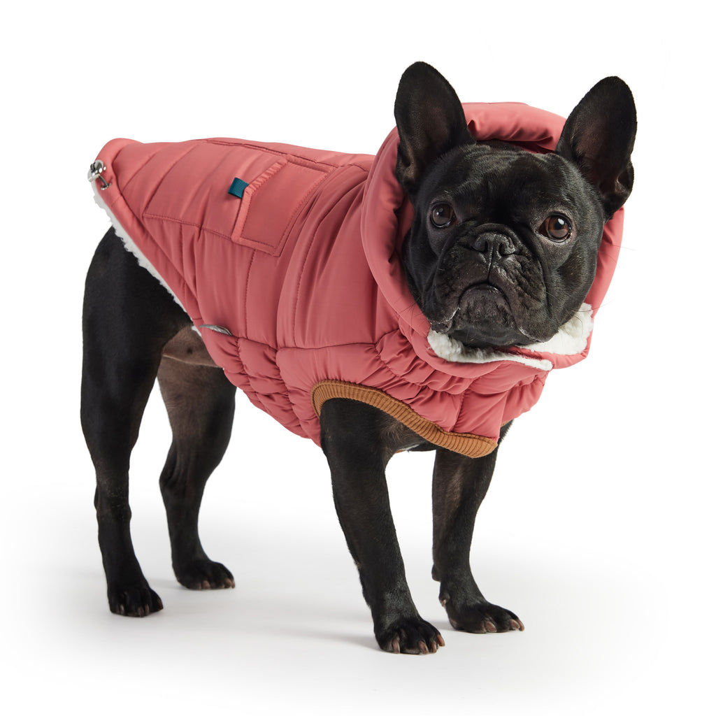 The Puff Parka - Pink by GF Pet.us