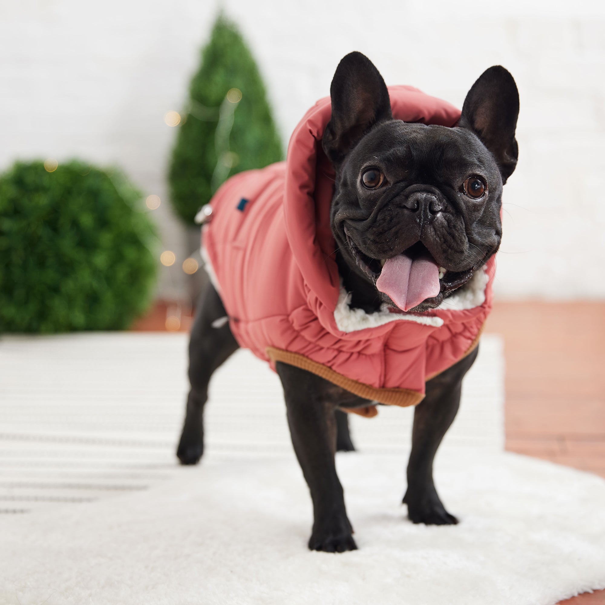 The Puff Parka - Pink by GF Pet.us