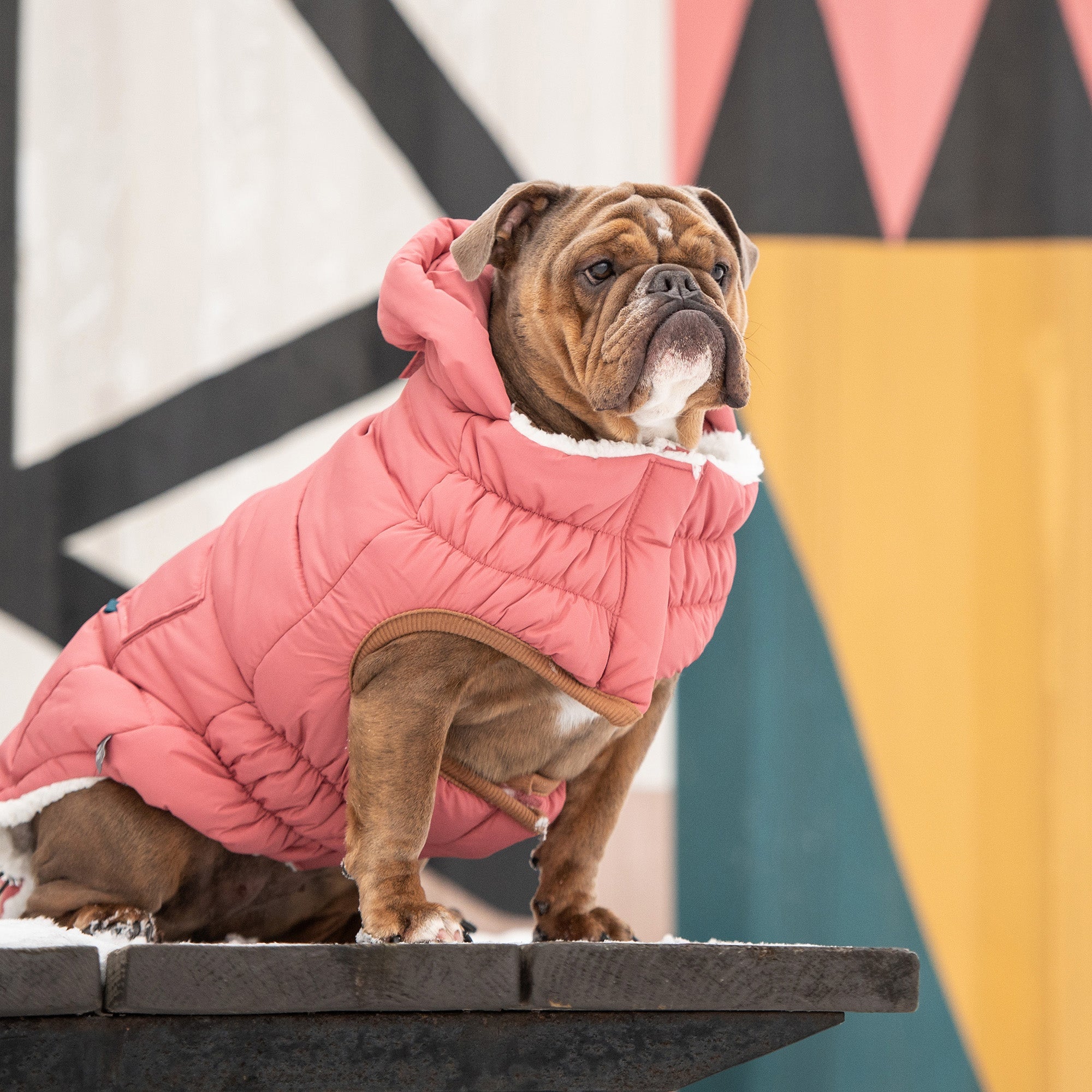 The Puff Parka - Pink by GF Pet.us