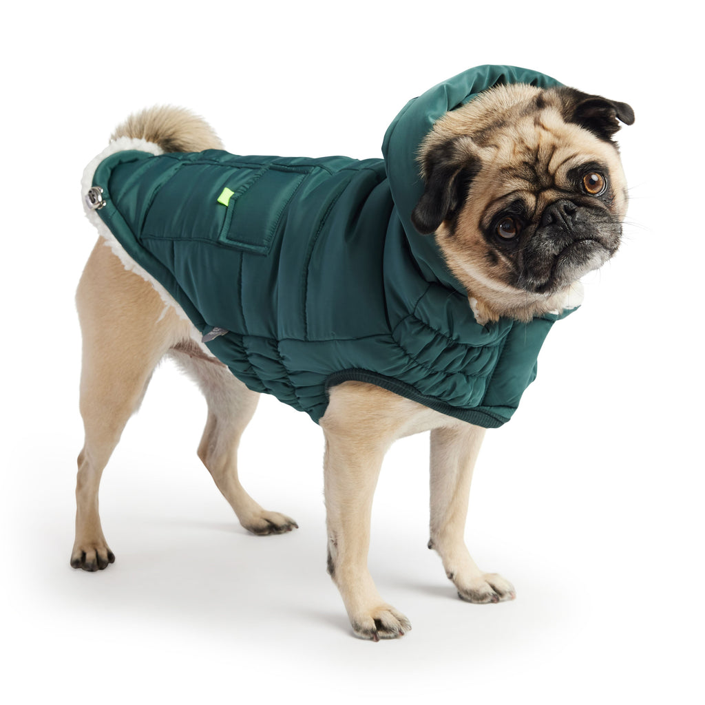 The Puff Parka - Teal by GF Pet.us